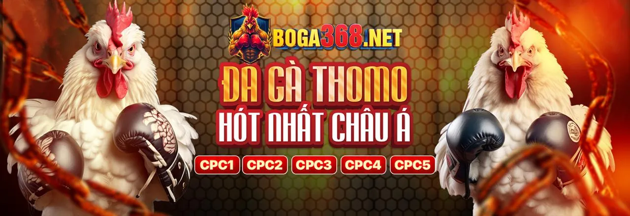 68wim - Nền tảng giải trí trực tuyến hàng đầu Việt Nam